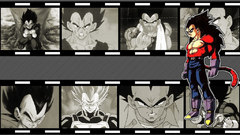 Vegeta Dragon Ball Z
