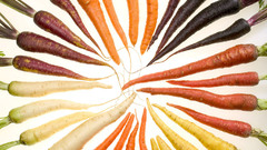 Vegetables food carrots rotten