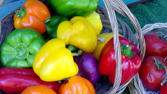 Vegetables food radish onions