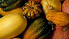 Vegetables food squash Food