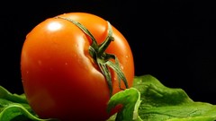 Vegetables food tomatoes