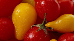 Vegetables food tomatoes Food