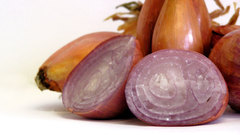 Vegetables onions onion