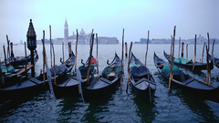 Venice gondolas City