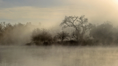 Vibe some This upload