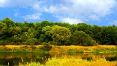 Vibrance so is anyone