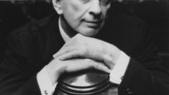 Vidalnow why? The hell