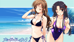 Video games bikini ecchi