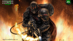 Video games Command And