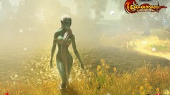 Video games Drakensang