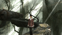 Video Games Dreamfall game