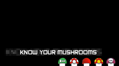 Video games Mario mushrooms