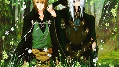 Video games nekomimi animal