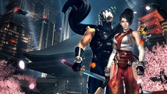Video games ninja gaiden