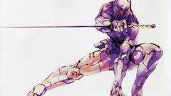 Video games ninjas mgs