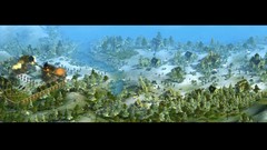 Video games No mans land