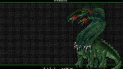 Video games RPG tibia