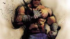 Video games sagat Street