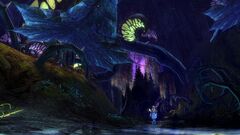 video games screen shot blue black landscape Sylvari PC gaming