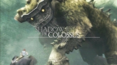Video games Shadow of
