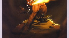 Video games street fighter