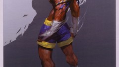 Video games street fighter