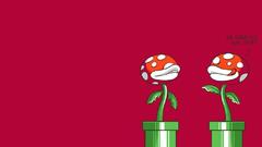 Video games super mario