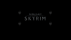 Video games the elder