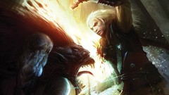 Video games the witcher