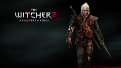Video games the witcher