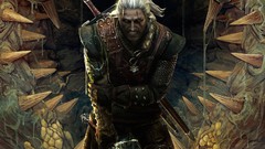 Video games the witcher