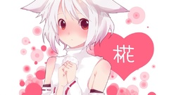 Video games touhou animal