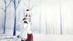 Video games touhou animal