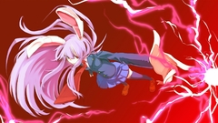 Video games touhou animal