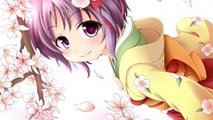 Video games touhou hieda