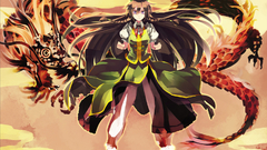 Video games touhou hong