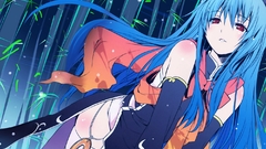 Video games touhou long