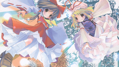 Video games touhou miko