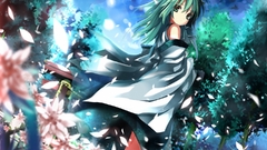 Video games touhou miko