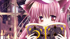 Video games touhou nekomimi