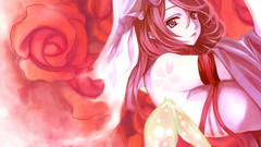 Video games touhou saigyouji