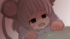 Video games touhou tears