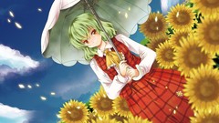 Video games touhou Umbrellas