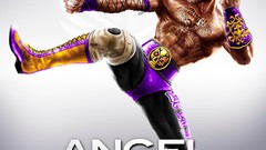 Video games wrestling artwork