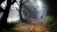 Videogames human wolf