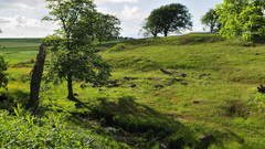 View back The from This Okay dsc