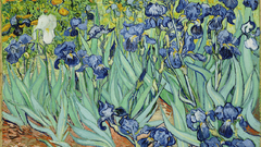 Vincent van Gogh Irises