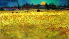 Vincent van Gogh tilt-shift