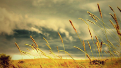 Vintage some about how olde vintg