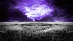 Violet selective coloring
